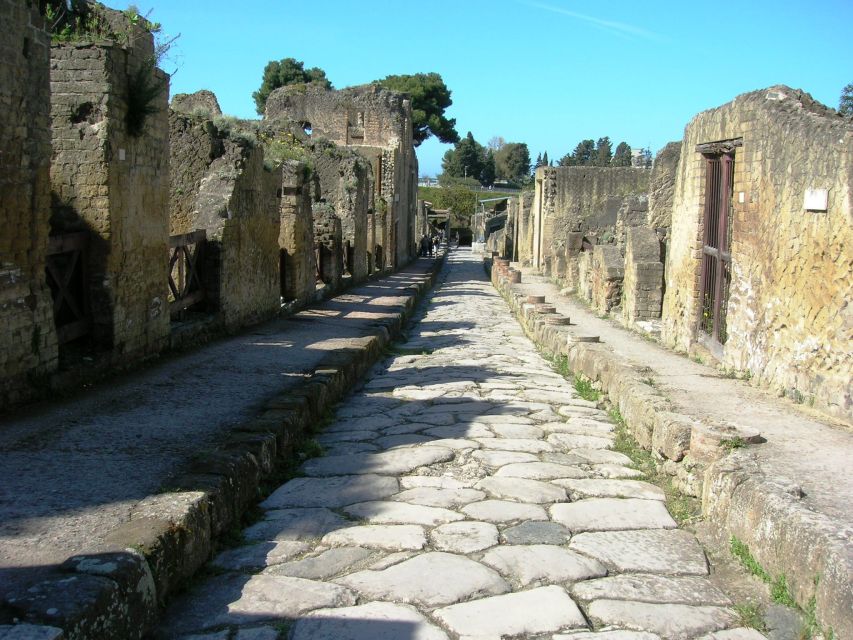 Skip the Line in Herculaneum - Half Day Group Tour - Transportation