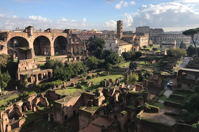 Skip the Line Walking Tour of the Colosseum, Roman Forum and Palatine Hill - Weather and Participant ID