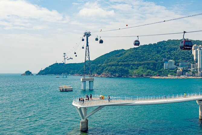 Small Group Full Day Busan Tour (Max 6 Pax) - Discover Unique Attractions