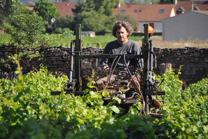 Small-Group Full-Day Tour of Côte De Nuits, Côte De Beaune Vineyards and Beaune Historical District - Discovering the Wine Capital of Beaune
