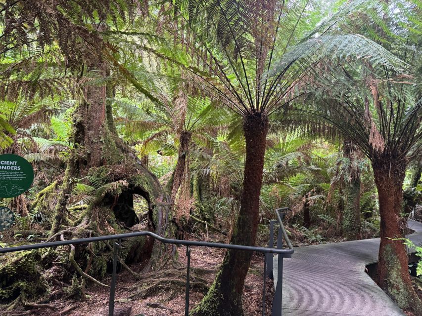 Small Group Great Ocean Road Day Tour Lunch Included - Additional Recommendations and Information