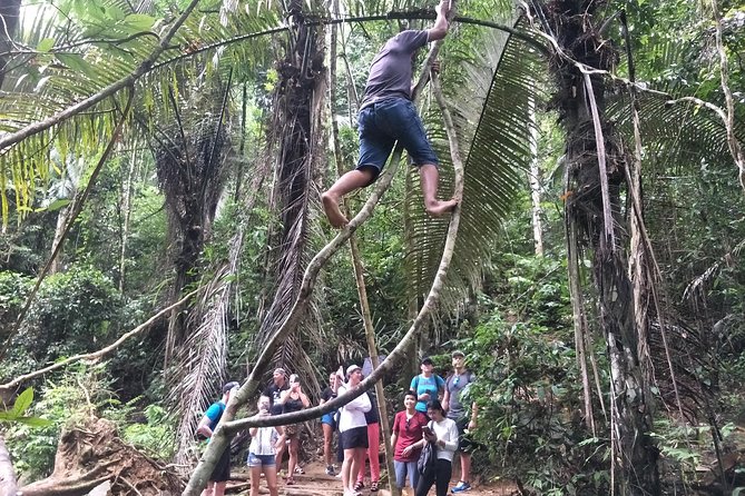 Small-Group Jungle Hiking Excursion in Khao Phra Teaw Park - Tour Reviews