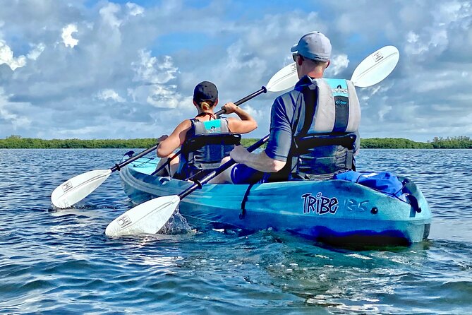 Small Group Kayak Tour of the Shell Key Preserve - Frequently Asked Questions