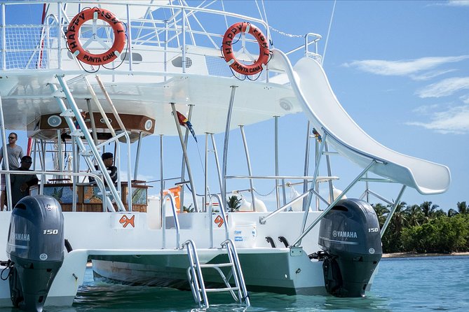Small Group Snorkeling Cruise With Open Bar and Light Snacks - What to Expect