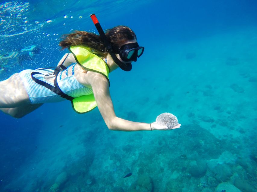 Snorkeling Tour & Sosua Beach Day - Inclusions and Exclusions