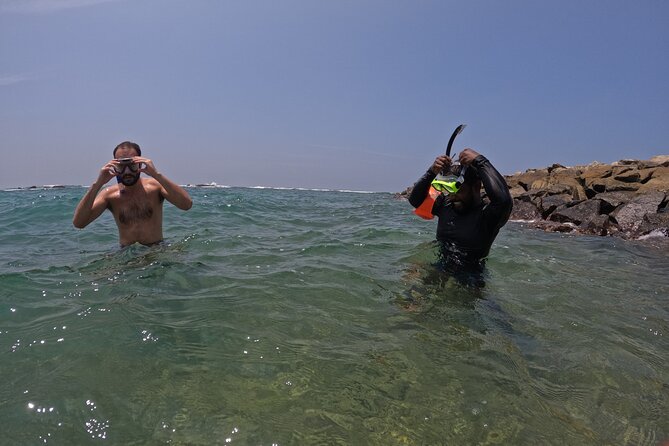 Snorkeling Turtles in Mirissa - Spotting Sea Turtles and Marine Life