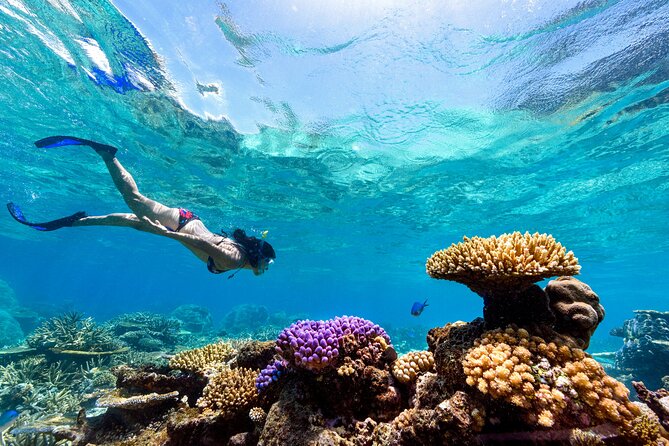Snorkeling With Manta Rays in Nusa Penida Experience (All-Inclusive) - Convenient Pickup and Dropoff
