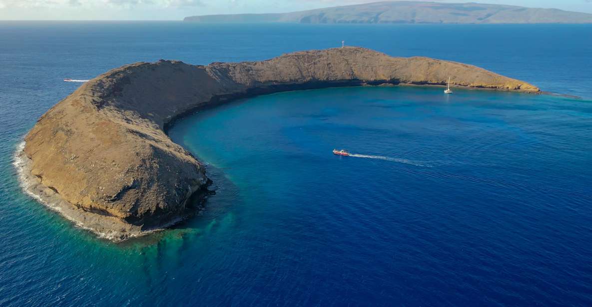 South Maui: Molokini Crater and Turtle Town Snorkeling Trip - Restrictions and Requirements