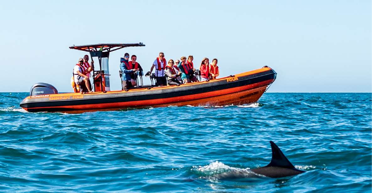 South Route: Dolphin Watching - Cascais and Estoril Coast