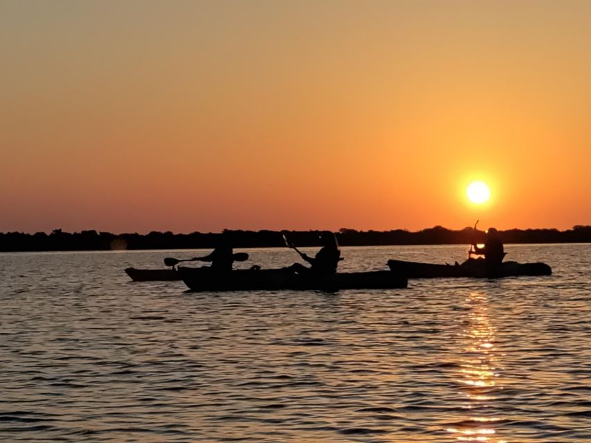 St. Augustine: Kayaking Sunrise Tour - Paddling Techniques From Instructor