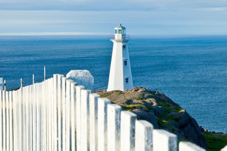 St Johns: Small Group Guided Tour by Car - Signal Hill National Historic Site