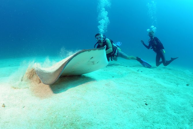 St Maarten Scuba Diving for Certified Divers - Tour Suitability and Accessibility