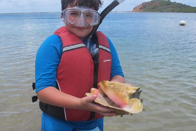St Thomas Mangrove Lagoon Kayak and Snorkel Tour in the US Virgin Islands - Snorkeling the Underwater World