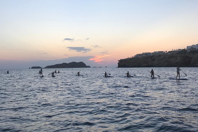 Stand Up Paddle Surf Sunset Tour - Traveler Suitability