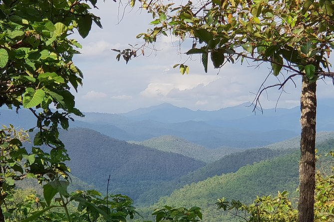 Sticky Waterfall Cycling Tour - Exploring Chiang Mais Landscapes