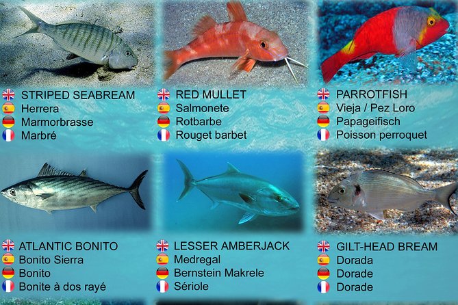 Submarine Safaris Lanzarote - Ticket Redemption and Cancellation