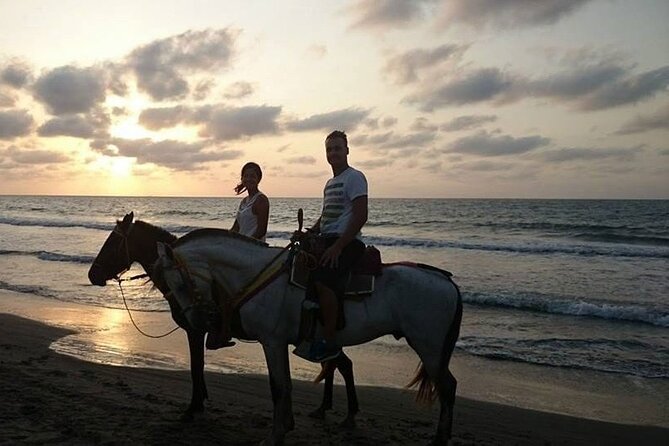 Sunset Horseback Riding Tour From Punta Cana - Customer Reviews and Feedback