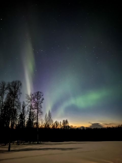 Talkeetna: Winter Dog Sled Tour Morning or Night Mush! - Booking Information