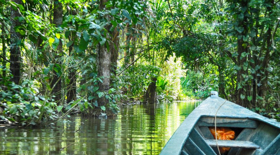 Tambopata Peruvian Amazon Jungle for Three Days/Two Nights - Free Cancellation Policy