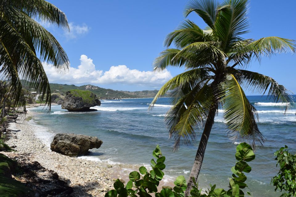 Taste of Barbados - Coastal Town of Bathsheba