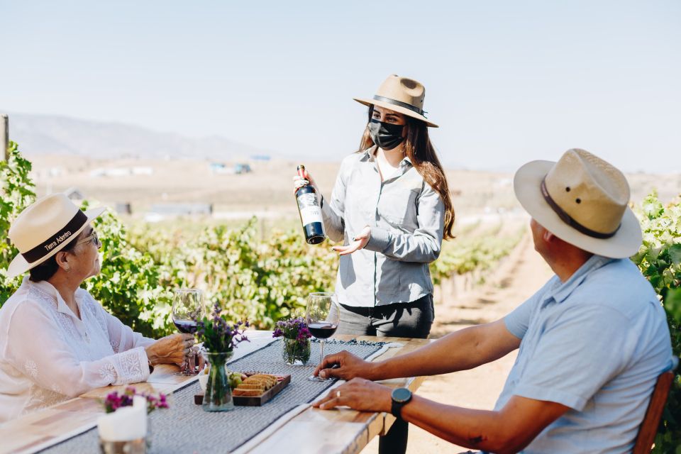 Tasting and Tour Through the Vineyard - What to Expect on the Tour