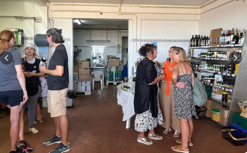 Tavira: Olive Experience With Factory Tour and Tasting - Important Information