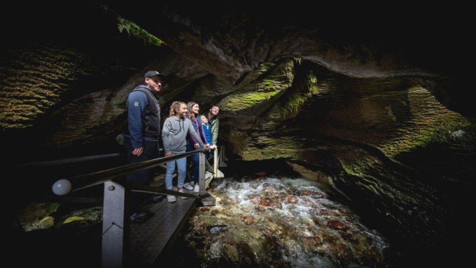 Te Anau: Natural Landmarks & Lord of the Rings Location Tour - Important Information