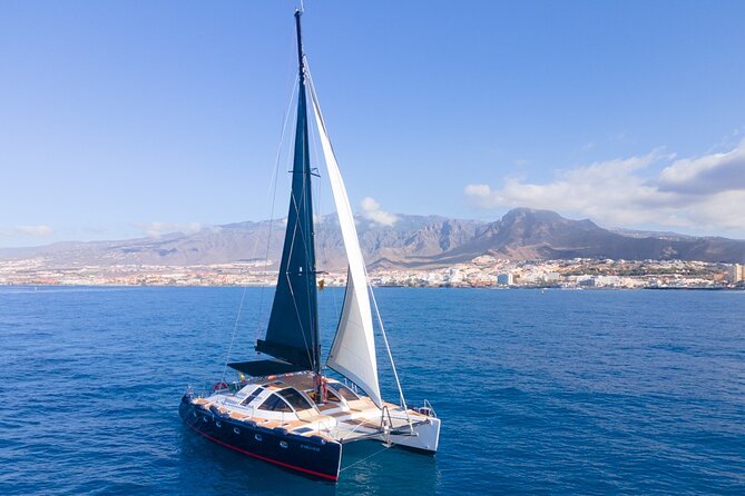 Tenerife Whales and Dolphins Watching Experience in Catamaran - Whale and Dolphin Sightings