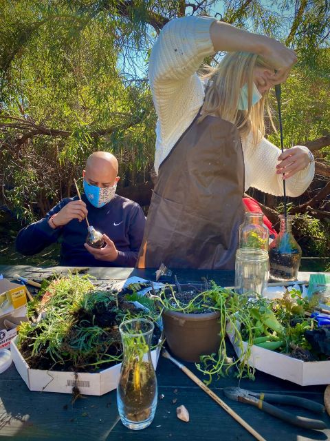 Terrarium Workshop - Terrarium Workshop Host Background