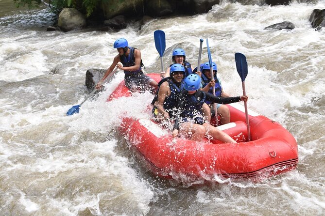 The Best Ayung River Rafting Adventure in Ubud - Customer Reviews and Ratings