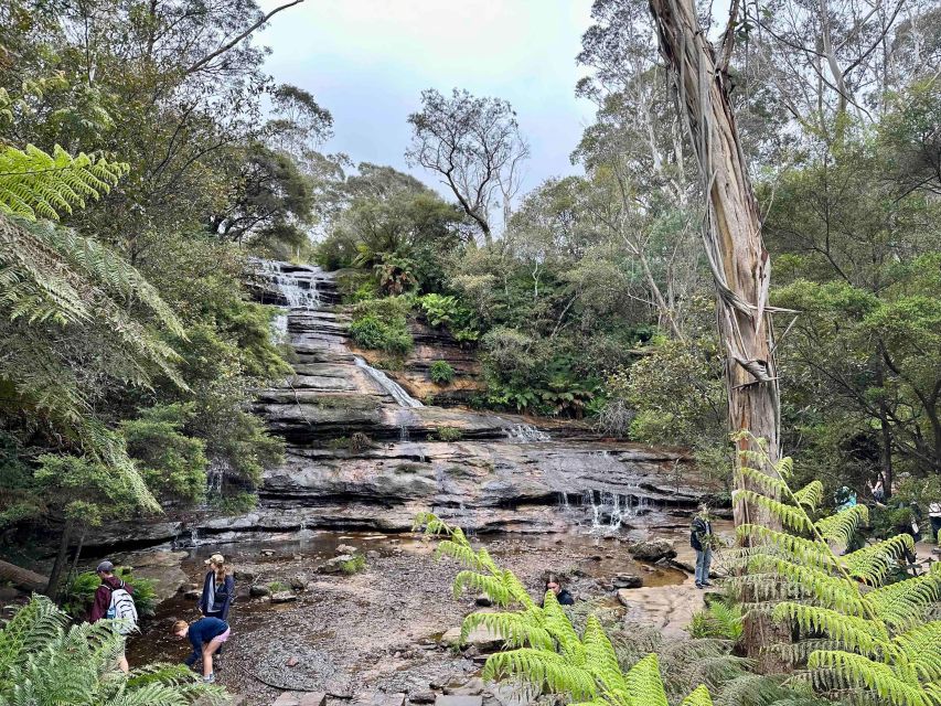 The Blue Mountains Small Group Insider Tour - Customer Reviews