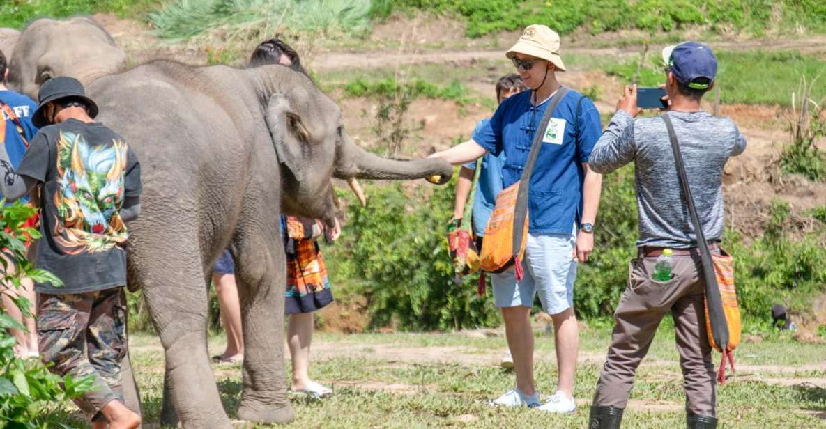 The Ultimate Elephant Experience and Coffee Workshop - Pick-up Details