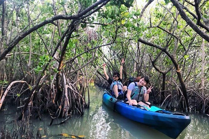 Thousand Island Mangrove Tunnel, Manatee & Dolphin Kayak Tour W/Cocoa Kayaking - Reviews