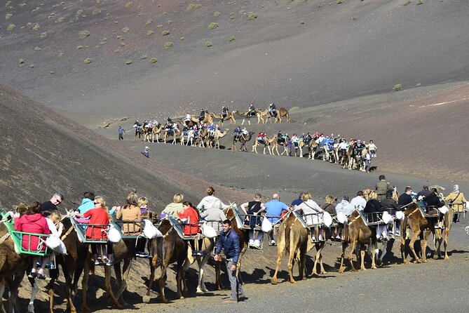 Timanfaya Park & Camel Ride (Extra Cost) - Short South Tour - Lanzarote Wineries