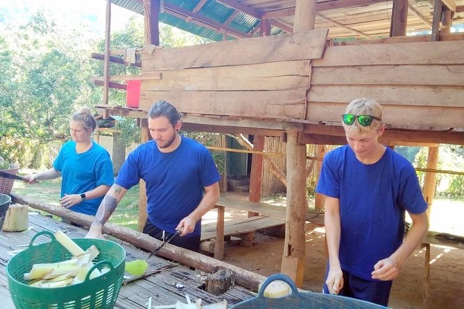 Top Pick - Full or Half Day @Elephant in Wild Sanctuary ChiangMai - White Water Rafting