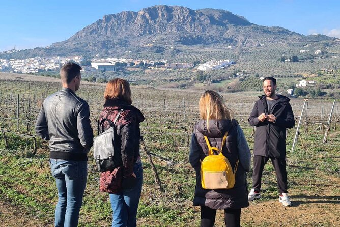 TOP WINE TOUR- Vineyard & Cellar Visit + 6 TOP Wines + Tapas - Tapas Included