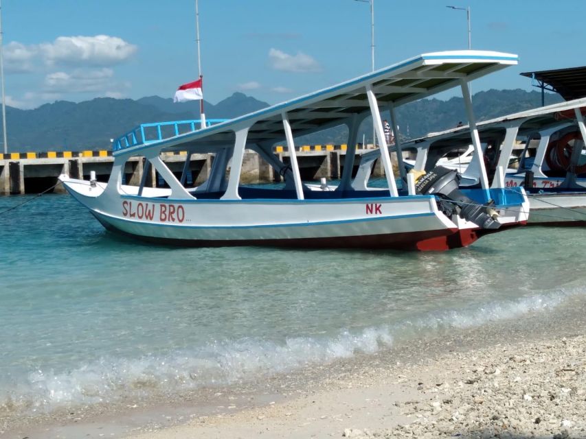 Tour Gili Islands : Private Snorkeling Trip 4 Hours - Important Information