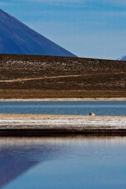 Tour of Salinas and Yanaorco Lagoons + Lojen Thermal Baths - Activity Highlights