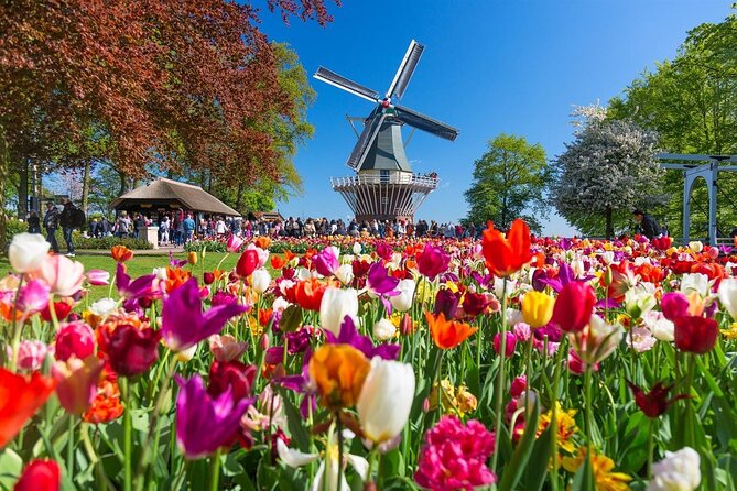 Tour to Keukenhof, Tulip Farm and Windmill Cruise From Amsterdam - Tour Duration and Group Size