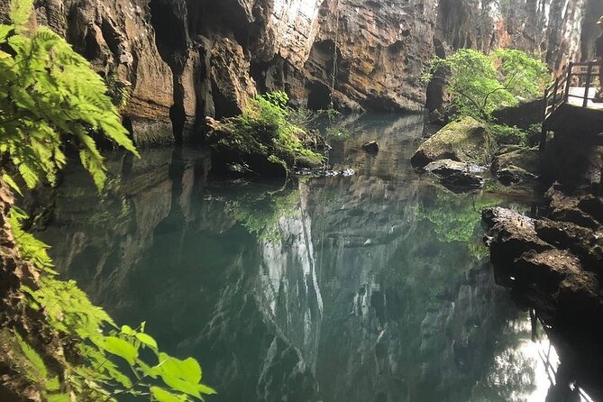 TOUR to the CAVES - Paradise & Dark CAVES From Dong Hoi City - Transportation and Logistics