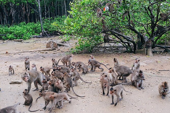 Trek Can Gio Mangrove, Monkey Island With Croc Farm & Cano Option - Mangrove Trek Experience
