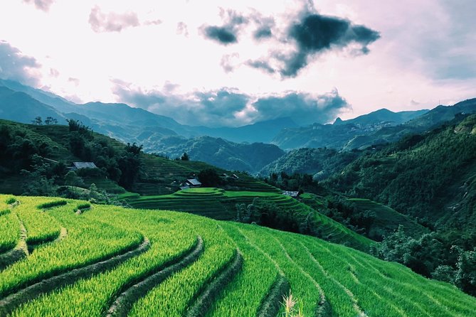 Trekking Sapa 1 Day - the Best Terraced Rice Field - Booking and Cancellation Policy
