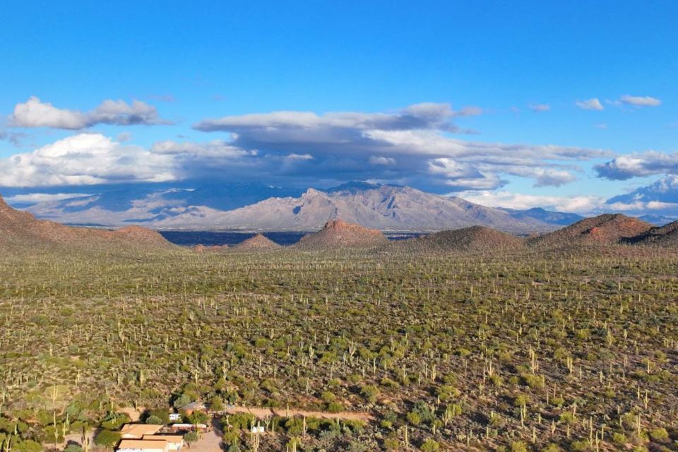 Tucson: Mt Lemmon & Saguaro NP Self-Guided Bundle Tour - Exploring Saguaro National Park