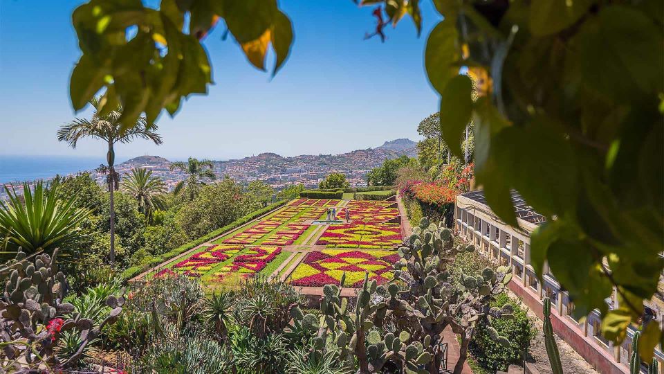 Tuk Tuk Botanical Garden - Madeira Island - Booking and Pricing