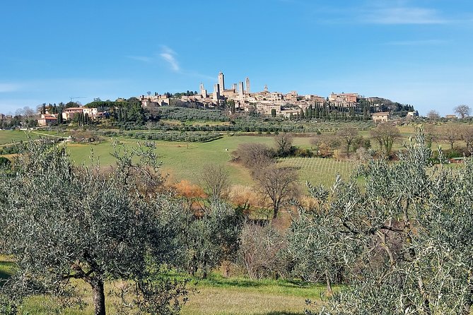 Tuscany Experience: Pisa, Siena, San Gimignano & Wine Tasting - Pisa Highlights