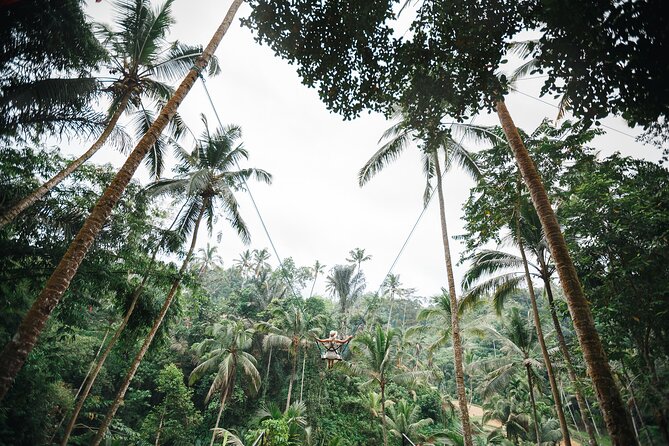 Ubud: All-Inclusive Highlights Full-Day Tour - Experiencing Tegallalang Rice Terraces