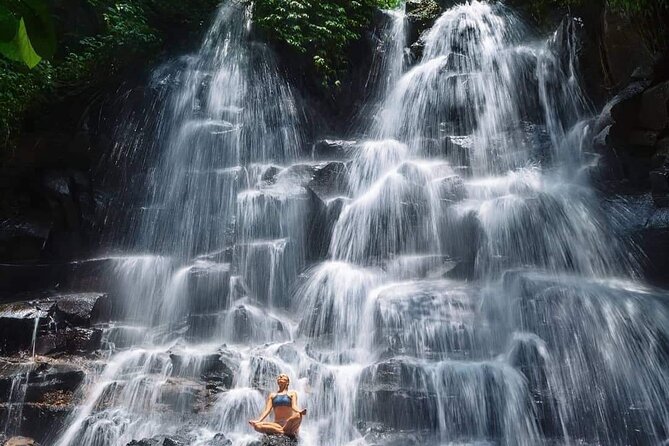 Ubud Customized Full Day Tour - Visit Most Favorite in Ubud - Lunch and Bottled Water Included