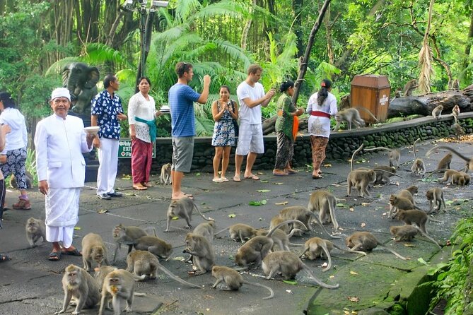 Ubud Day Tour: Sacred Monkey Forest, Tegenungan Waterfall, Rice Terrace - Additional Information