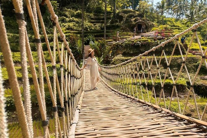 Ubud: Monkey Forest, Jungle Swing, Rice Terrace, and Water Temple - Monkey Forest Exploration