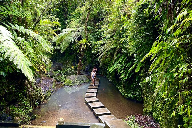 Ubud: Monkey Forest, Rice Terraces, Hidden Waterfall, Water Temple - Included in the Tour